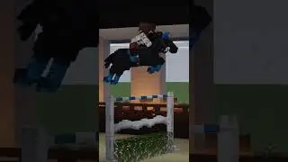 Indoor arena 🐴 SWEM #swem #minecraft #shorts
