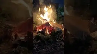 #Bhogi Celebrations....2022
