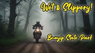 Too Slippery For Me! // Bunyip State Park // KTM 390 Adventure