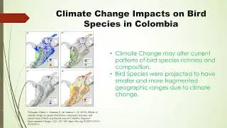 Species Distribution and Climate Change
