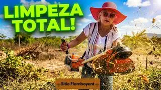 REFORMA CONTINUA: LIMPEI O TERRENO COM ROÇADEIRA E MONTEI UM ARMÁRIO ROSA