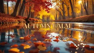 Autumn Relaxing Music 🍁 Relaxing Autumn Woods & Warm Air