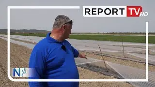 Kultivimi i shalqirit, fermeri nga Kallmi rrëfen hilet e punës. Pse vendos plasmas?