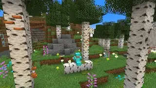 Giving the Birch Forest the UPDATE it deserved
