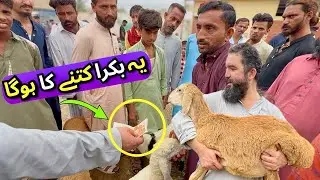 Karachi Sunday Bakra Mandi &ndash; 10 Muharram Special | 📈 Saste & Mehngay Rates Update 😱