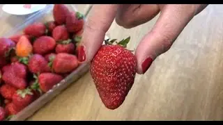 The Right Way To Eat A Strawberry - Never Waste Fruit At End Near Stem