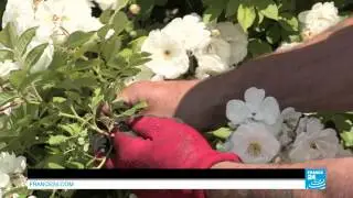 La féerie de Jumilhac, dans le Périgord