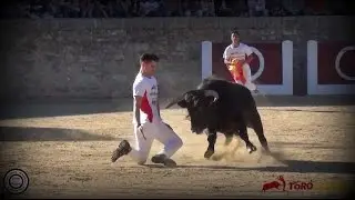 Concurso de Recorte Libre - Medina de Rioseco 2016
