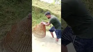 Polo fishing video #fish #shorts #tanding #fishing video #fishing #Village fishing  part  17