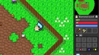 Realm of The Mad God: Showing Off Pet Yard