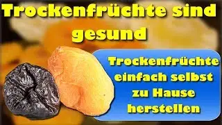 Trockenfr&uuml;chte sind gesund &ndash; Trockenfr&uuml;chte einfach selbst zu Hause herstellen