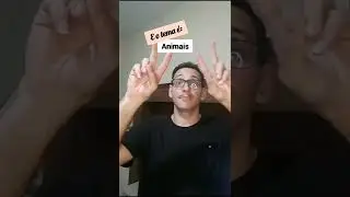 Como diz Animais em Libras #libras #linguadesinais #shorts #short #shortvideo