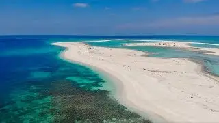 Arabian Breeze in Sir Bani Yas Island