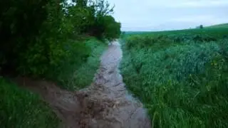 heftiges Unwetter Wassermasser Acker R&ouml;blingen am See Fr. 19.05.2017