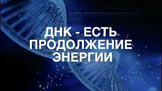 ДНК   есть продолжение энергии 388