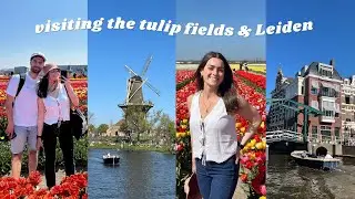 Day Trip Vlog: Visiting the Dutch Tulip Fields and Leiden
