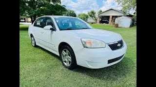 Lot 5 -