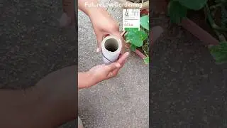 बेकार wire से Money plant Support Stakes #shorts #sustainable  #futurelovegardening #diy