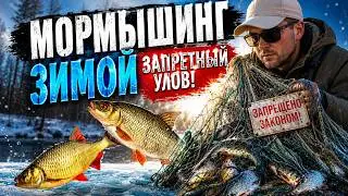зимний СПИННИНГ и Плотва/Красноперка и Офигевшие Браконьеры... даже не стесняются..прямо на глазах..