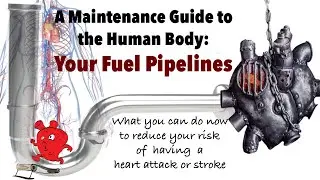 A Maintenance Guide to the Human Body:  Your Fuel Pipelines