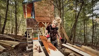 treehouse build🌲🛠️ [part II]