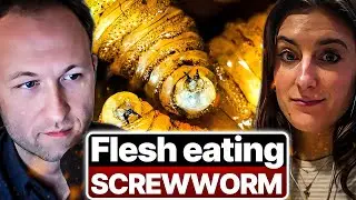The Flesh-Eating Parasite Threatening U.S. Cattle Right NOW!
