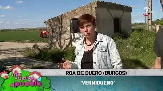 Me vuelvo al pueblo (211).- Roa de Duero, en Burgos