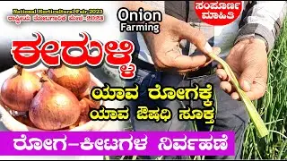 ಈರುಳ್ಳಿ ಬೆಳೆ ರೋಗಗಳಿಗೆ ಪರಿಹಾರ | ಉಳ್ಳಾಗಡ್ಡಿ | Onion Diseases | National Horticultural Fair 2023