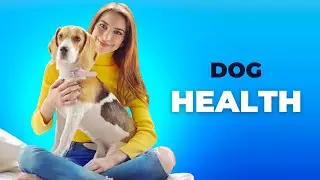 Top Dog Health Trends You Need to Know!
