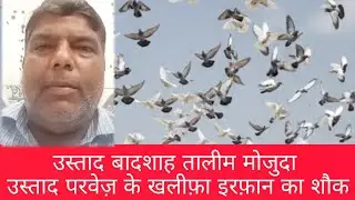 उस्ताद बादशाह तालीम मोजुदा उस्ताद परवेज़ के खलीफ़ा इरफ़ान का शौक