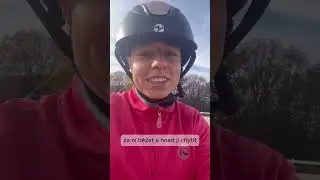 Odpovědi na ot&aacute;zky ohledně chozen&iacute; proch&aacute;zel na volno s koněm č&aacute;st 1. 