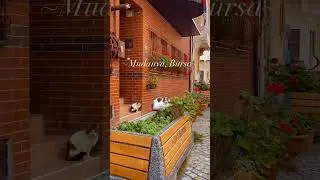 Mudanya👉Bursa Tarihi Harika Yer #shorts #doğa #turkey #meşhur #bursa #mudanya