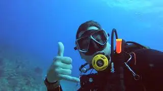Scuba Diving Pompano Beach and Blue Heron Bridge 2022