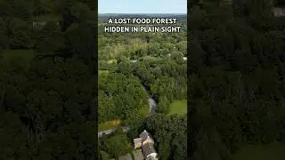 A Lost Food Forest Hidden in Plain Sight