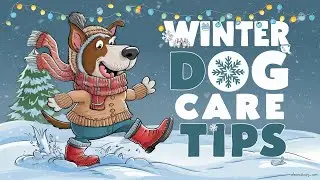 🐾 Walking Dogs in the Winter - 10 Tips For Caring For Your Dog This Winter 🌨️