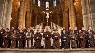 Gregorian Healing Choir – Psalm 102 & Ubi Caritas | Sacred Prayer for Healing, Mercy and Peace