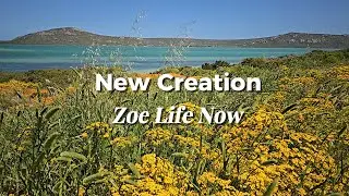 NEW CREATION |  2 Corinthians 5:17 | Uplifting Pop Worship | Lyric Video | Scripture Song