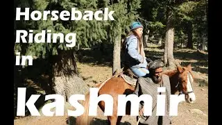 Exploring the Local Culture and Scenery of Kashmir: A Travel Diary