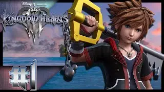 Kingdom Hearts III [Blind] #1 | Bittersweet