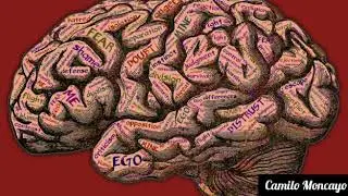 Lo que hay DETR&Aacute;S de la PROGRAMACI&Oacute;N MENTAL que pocos te cuentan (introducci&oacute;n)