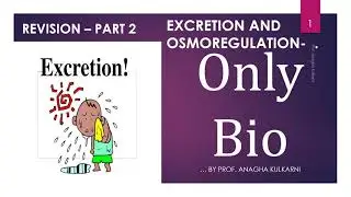 EXCRETION AND OSMOREGULATION 2 ( revision )