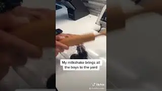 Fun milkshake to make with the kiddos