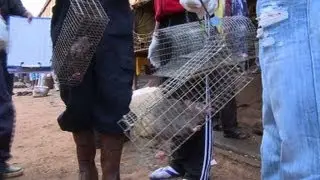 Madagascar prison authorities seek to stamp out the plague