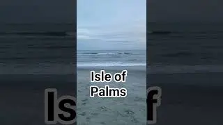 So relaxing and deserving. #fyp #fye #isleofpalms #vacation