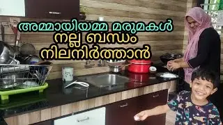 അമ്മായിയമ്മമാർ അറിയേണ്ട ചില കാര്യങ്ങൾ/Mother in law/Family relation/Nesis archives