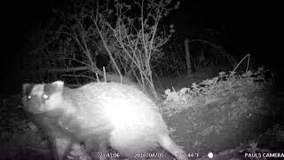The wildlife @ Babraham Research Campus