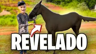 APRESENTEI o PRIMEIRO CAVALO ESPECIAL de 100MIL !