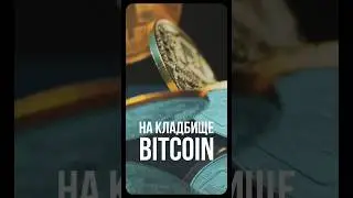 Куда пропали 500 миллиардов долларов в биткоинах #биткоин #криптовалюта #инвестиции #фальконфинанс