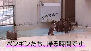 帰る時間です