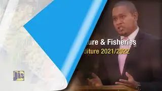 Ministry of Agriculture and Fisheries Estimates and expenditure 2021-2022.mp4